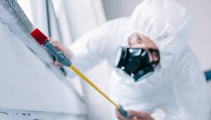 Best Pest Prevention Services  in Bainbridge, GA